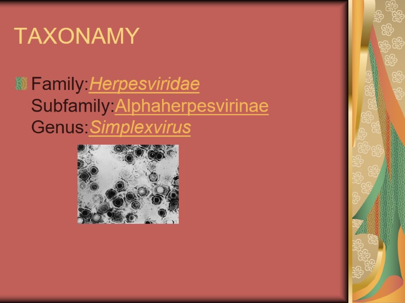 TAXONAMY Family:Herpesviridae Subfamily:Alphaherpesvirinae Genus:Simplexvirus